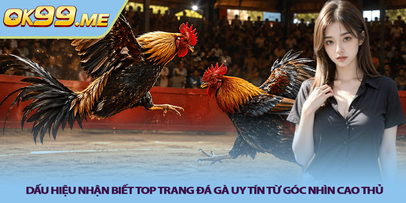 Dau hieu nhan biet top trang da ga uy tin tu goc nhin cao thu