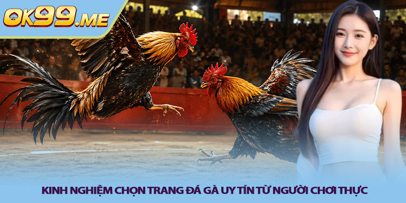 Kinh nghiệm chọn trang đá gà uy tín từ người chơi thực