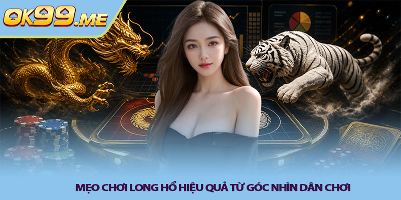 Mẹo chơi long hổ hiệu quả từ góc nhìn dân chơi
