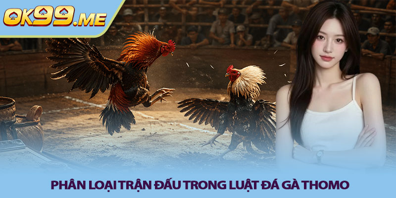 Phân loại trận đấu trong luật đá gà thomo