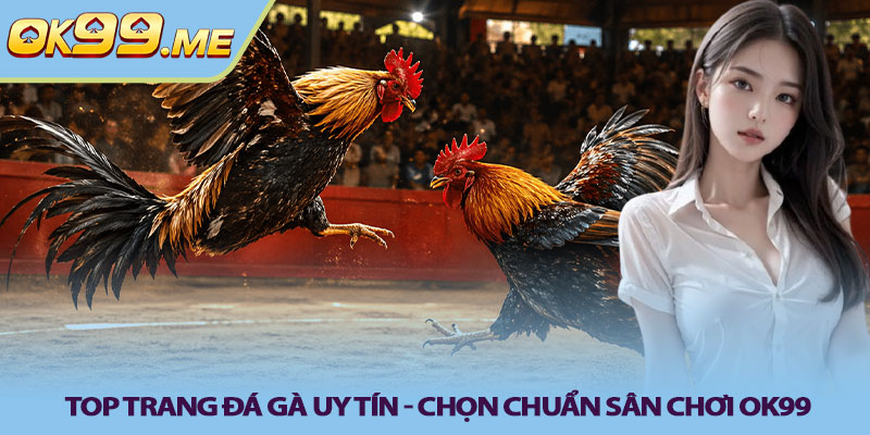 Top trang đá gà uy tín - Chọn chuẩn sân chơi OK99