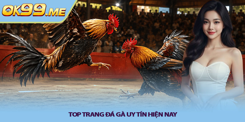 Top trang đá gà uy tín hiện nay 