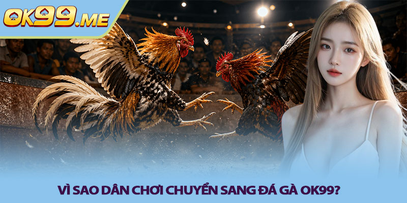 Vì sao dân chơi chuyển sang Đá gà OK99?